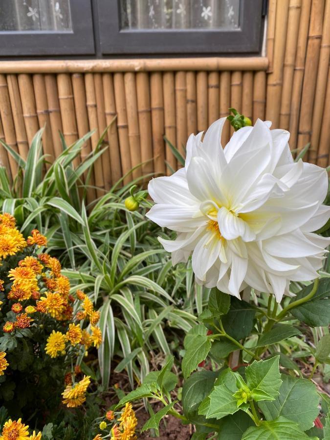 Trang An Moon Garden Homestay Ninh Binh Exterior foto