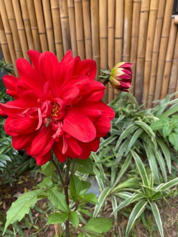 Trang An Moon Garden Homestay Ninh Binh Exterior foto