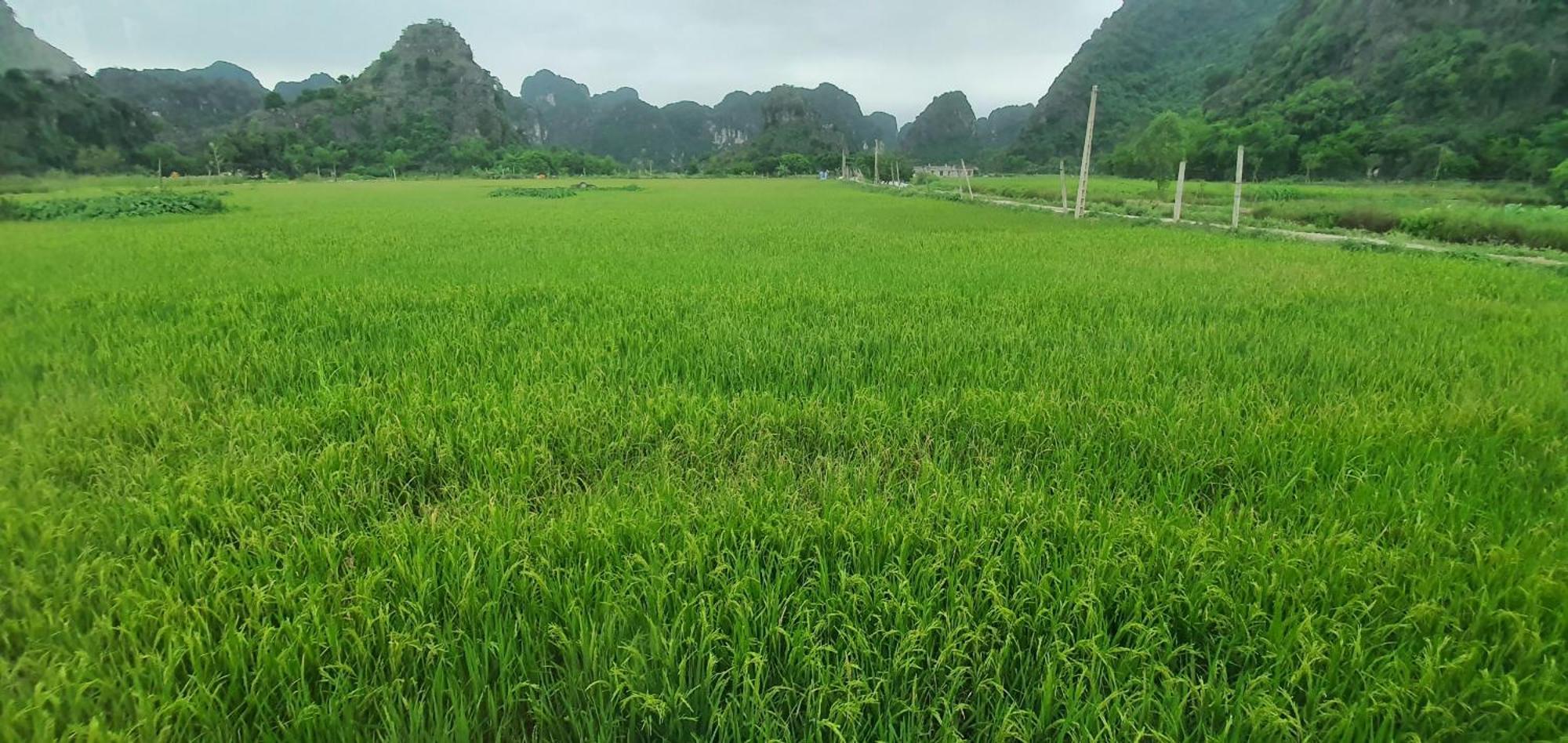 Trang An Moon Garden Homestay Ninh Binh Exterior foto